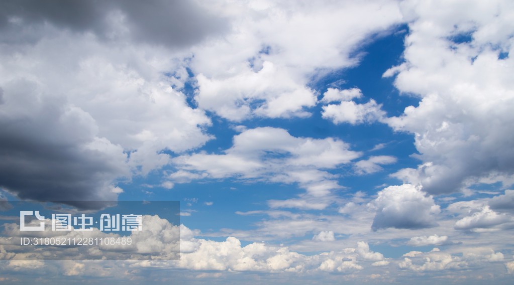 云之特写 创信云的创新与展望